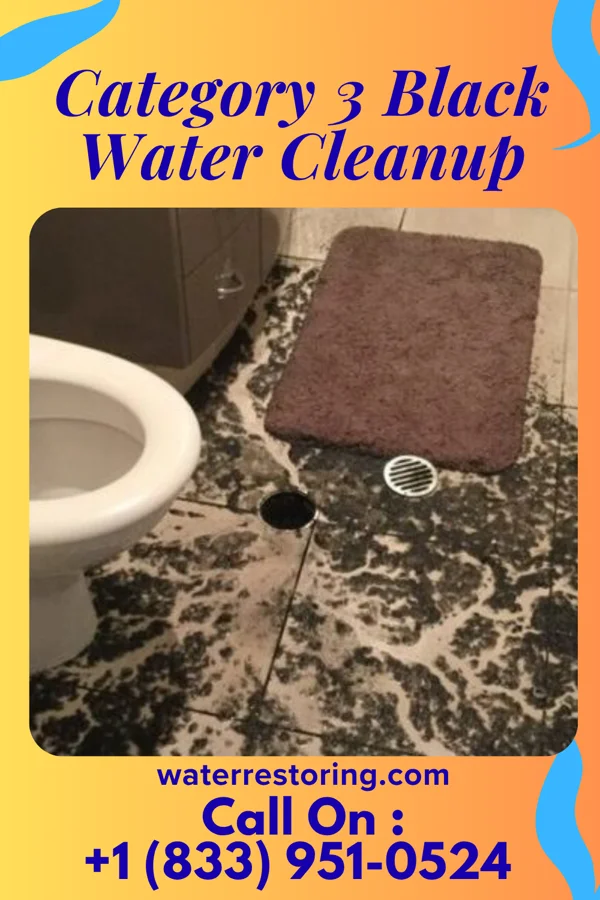 Category 3 Black Water Cleanup in Allen, KY