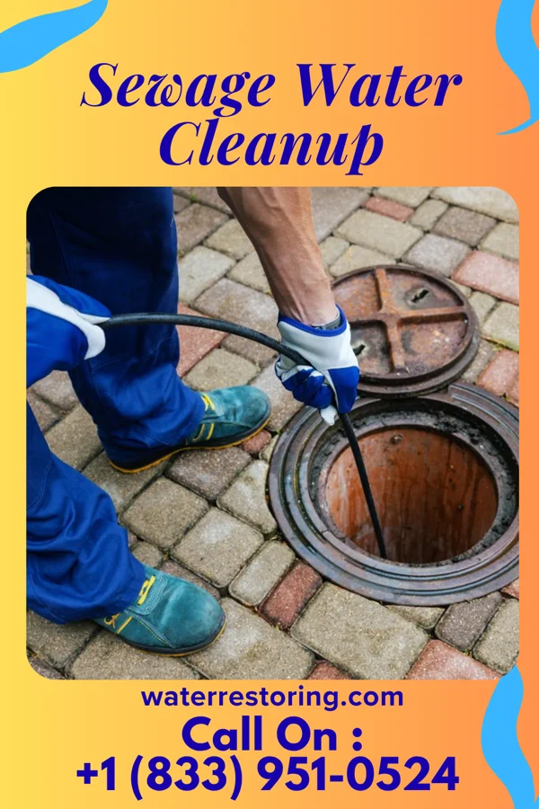 Sewage Water Cleanup in Allen, KY